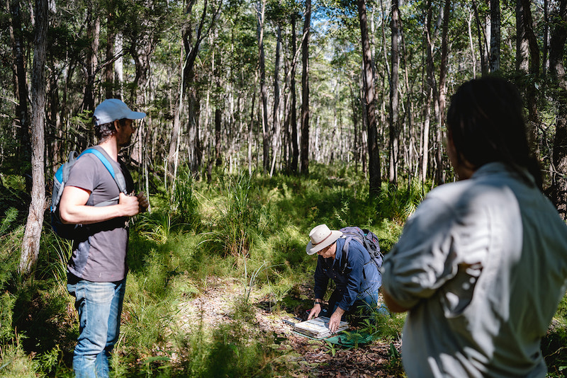 Botany Excursion at Sacred NR with QLD Herbarium 09/08/2023